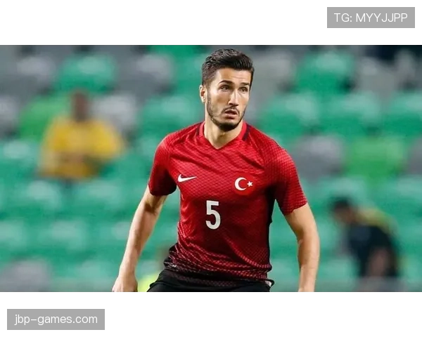 土耳其欧预赛强势回暖，状态出色引期待